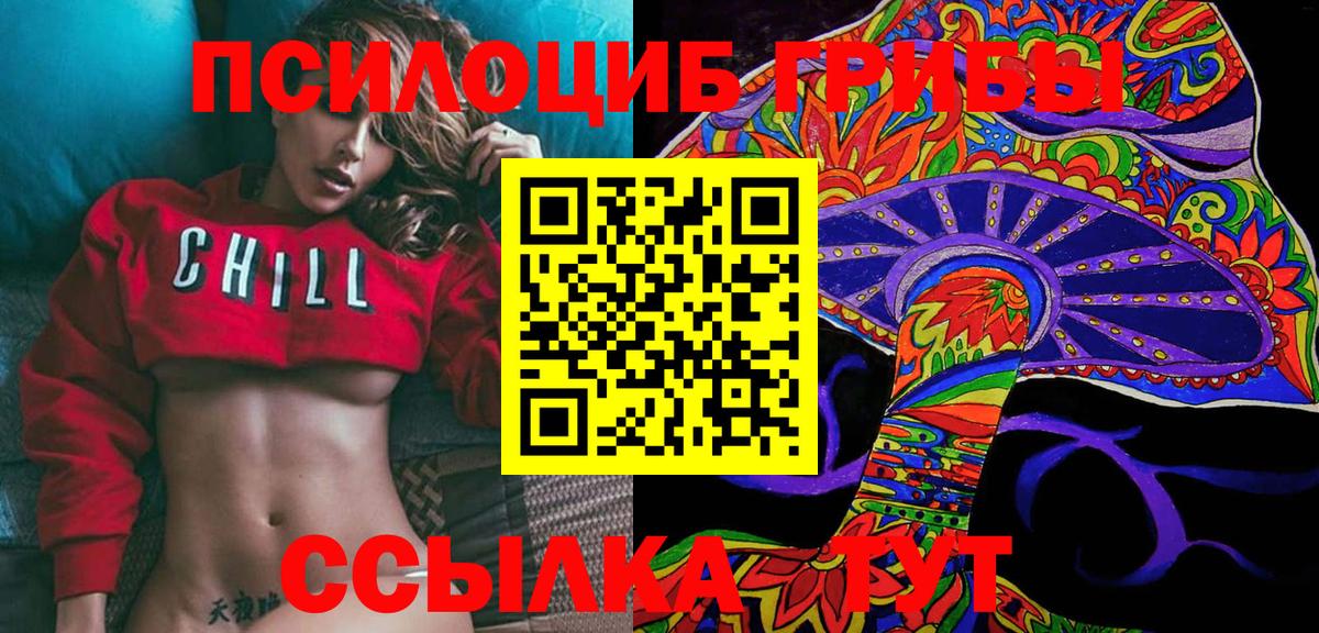 Галлюциногенные грибы Psilocybine cubensis Павлово