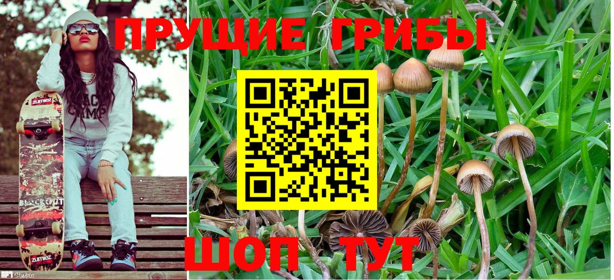 Псилоцибиновые грибы MAGIC MUSHROOMS  Галлюциногенные грибы Cubensis  Павлово  Вход с VPN 