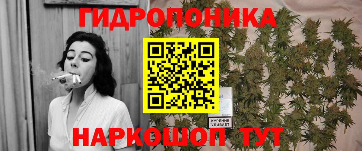Бошки Шишки планчик Павлово